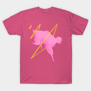 Pinkpaca T-Shirt